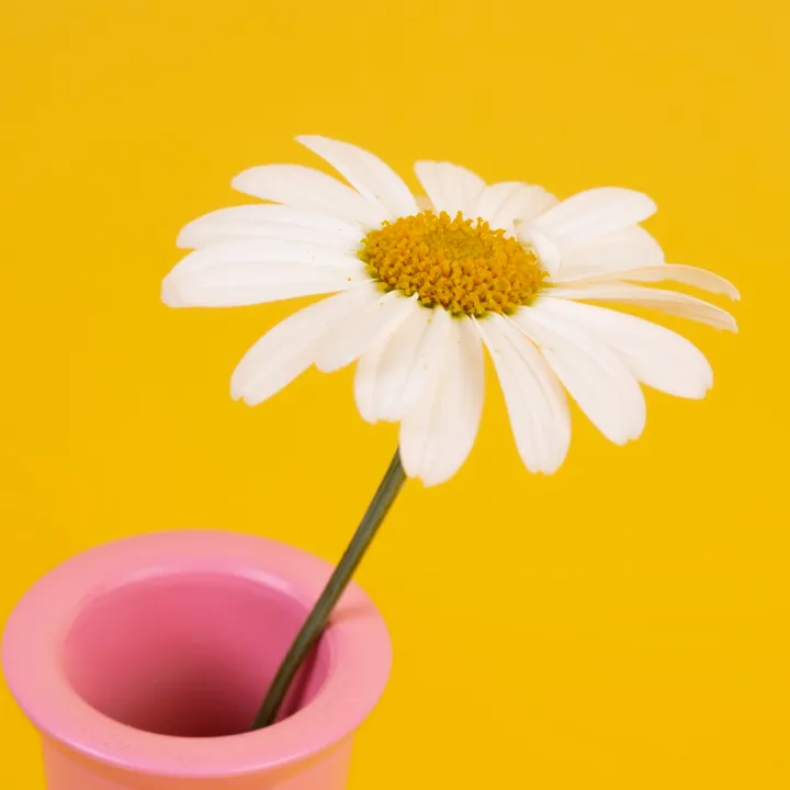 CODE BLOCK 메인 이미지3